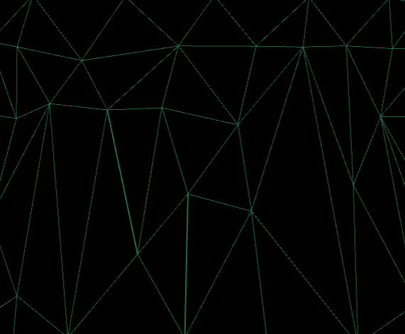 Triangulated wireframe of a 3D mesh